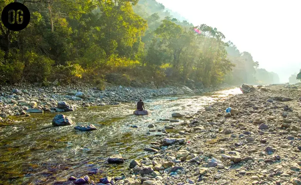 Rajaji national park