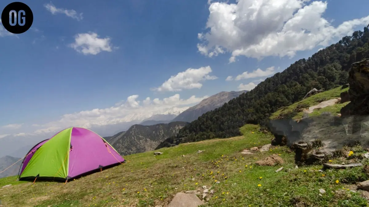 Chopta Valley Camping