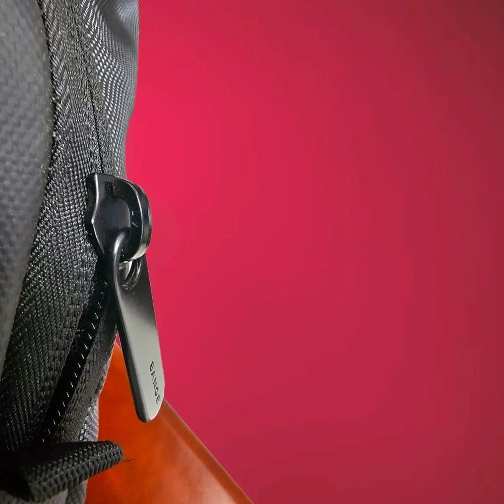 Red Lemon Laptop Backpack Review