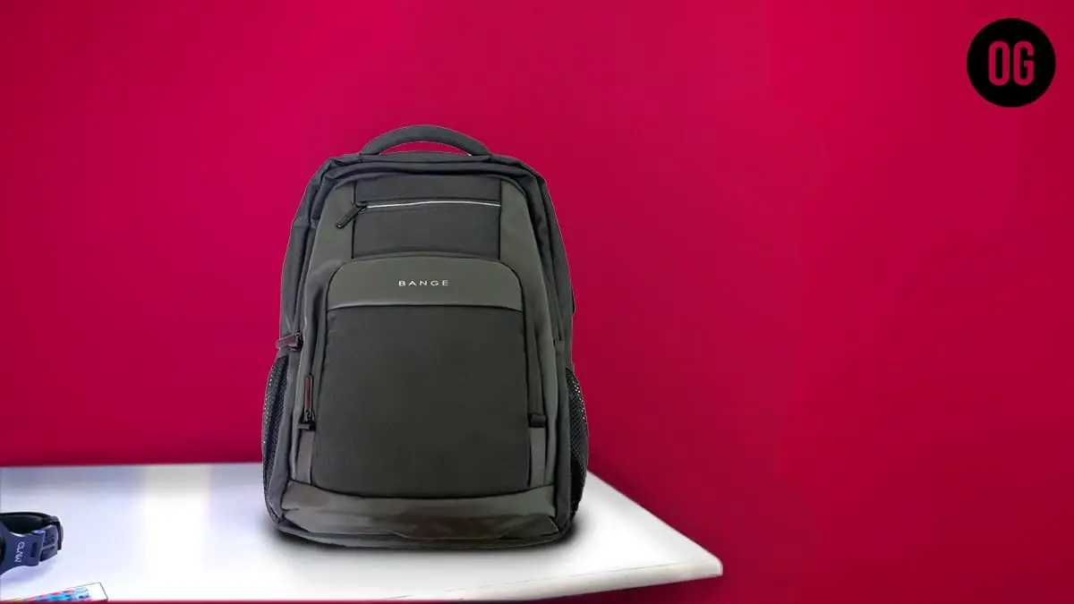 Red Lemon Laptop Backpack Review