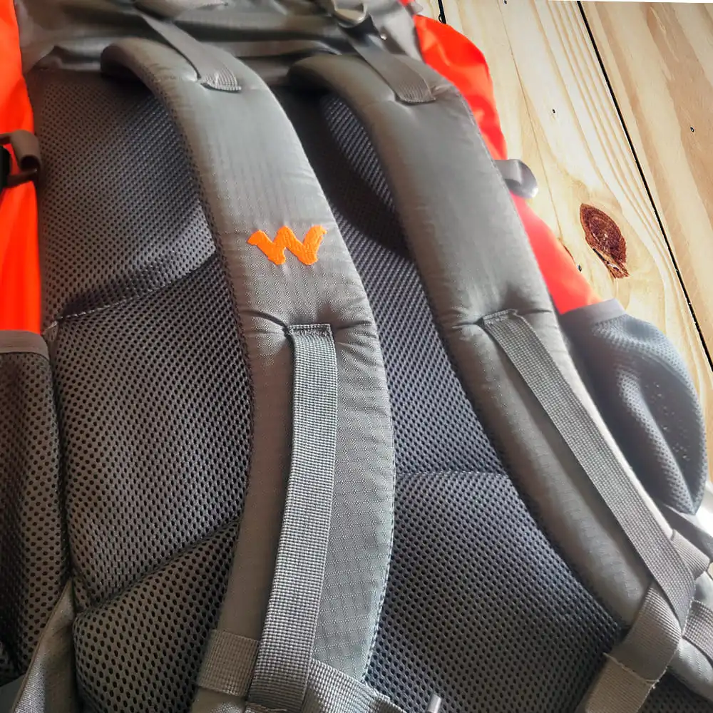 Wildcraft 45 Backpack Review