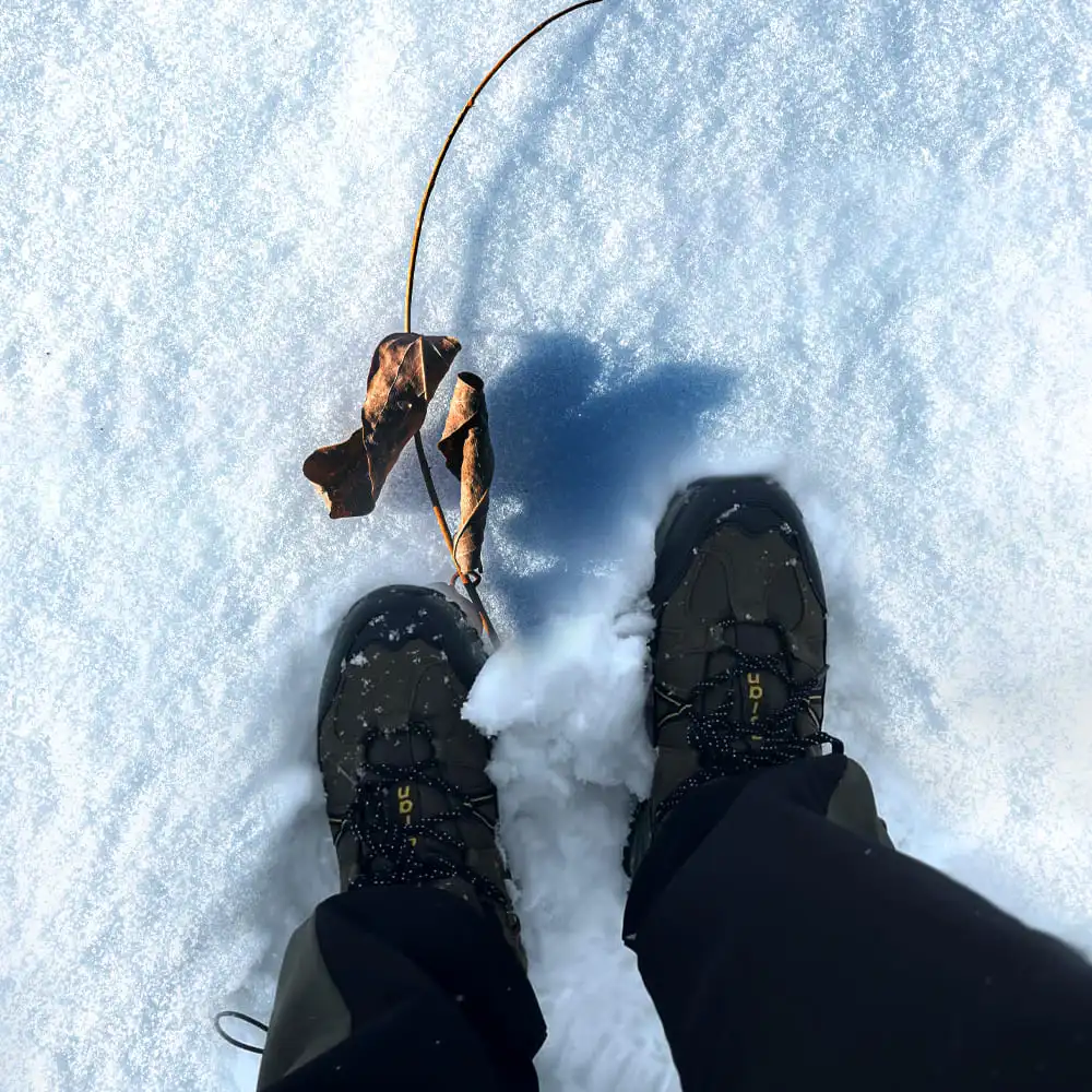 ASIAN Everest-21 Review